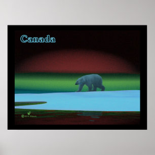 Polar Ljus Polar Bear Poster