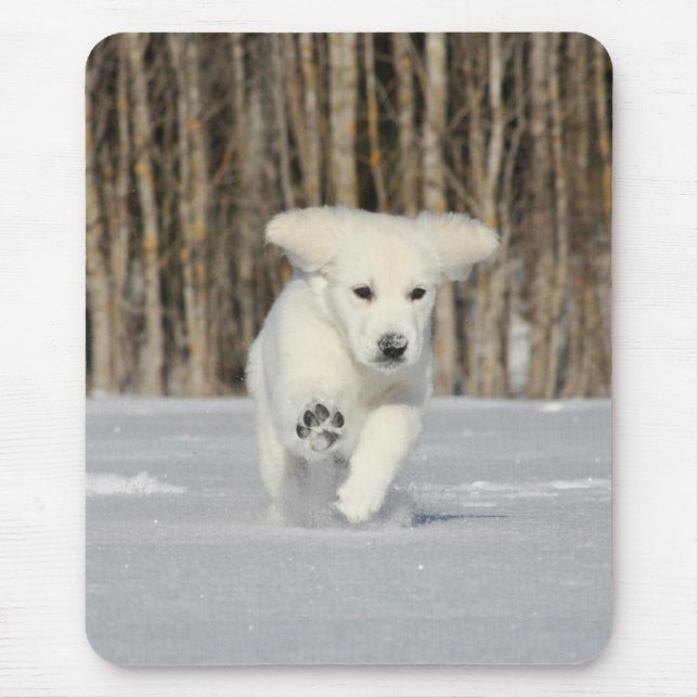 Polar mariy Photo Musmatta (Framsidan)