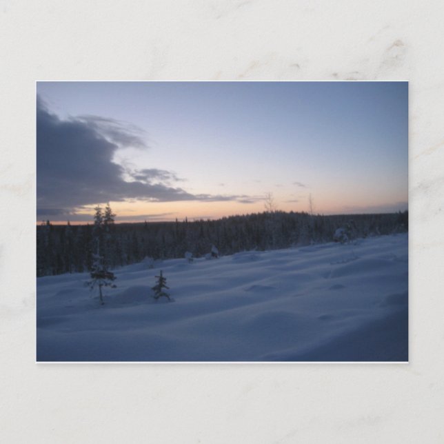 Polar natt vykort (Framsida)