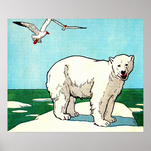 polar och fiskmåsar poster (Framsidan)