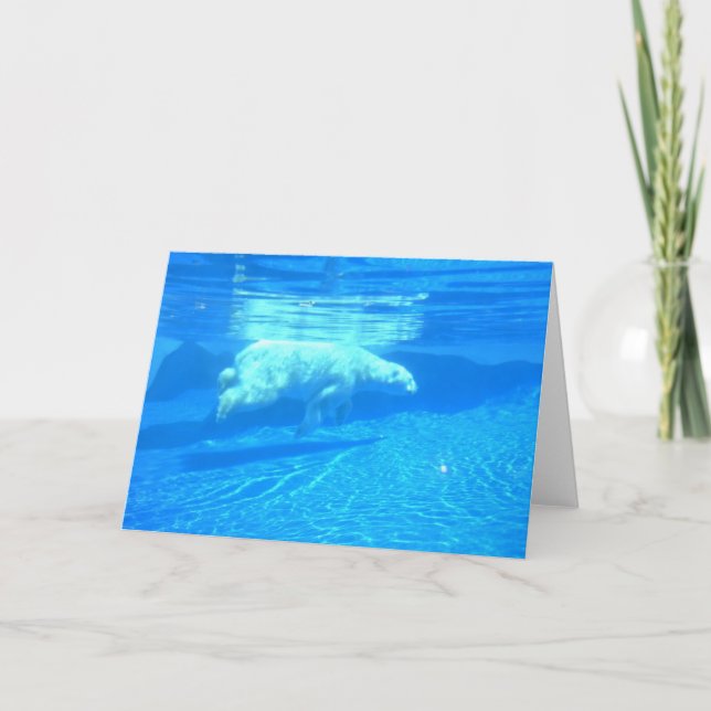 Polar simma kort (Framsida)