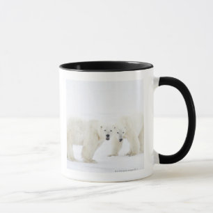 Polar uthärdar anseende på snö, når den har le mugg