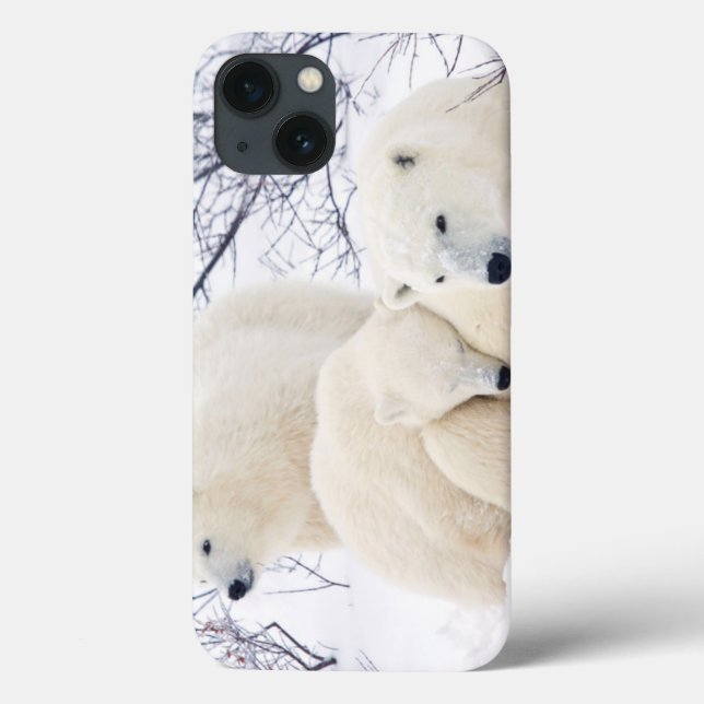 Polar uthärdar kvinnligt och två ungar 3 (Baksida)