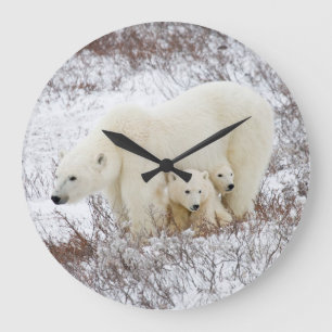 Polar uthärdar kvinnligt och två ungar stor klocka