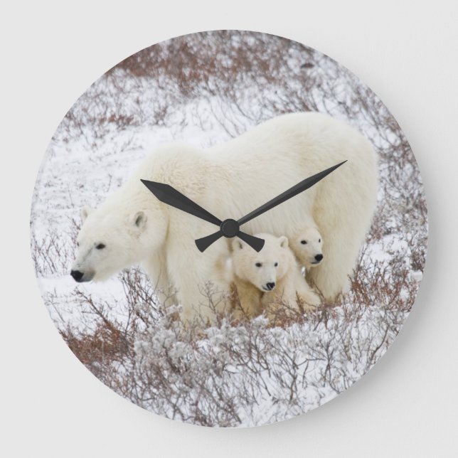 Polar uthärdar kvinnligt och två ungar stor klocka (Framsida)