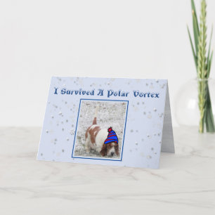 "Polar Vortex" födelsedagskort W/kute Basset Hound Kort
