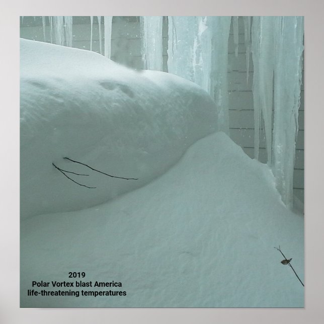 POLAR VORTEX HITS AMERICA 2019 POSTER (Framsidan)