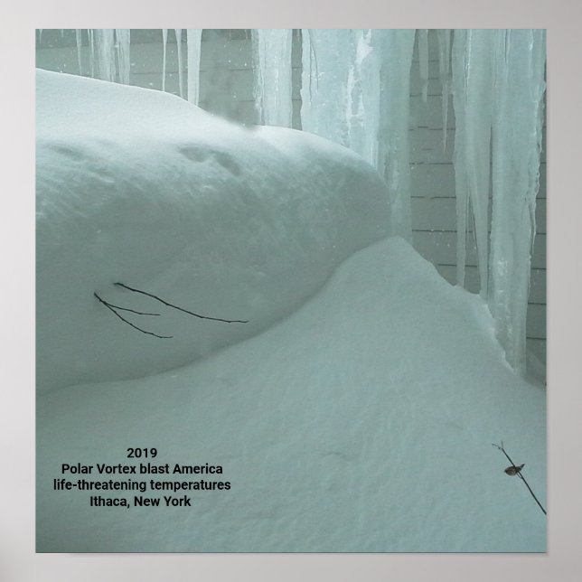 POLAR VORTEX HITTAR ITHACA NEW YORK 2019 POSTER (Framsidan)