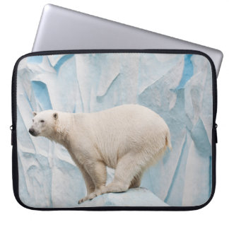 Polar: Zoo Habitat Glimpse Laptop Fodral