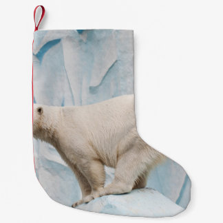 Polar: Zoo Habitat Glimpse Liten Julstrumpa