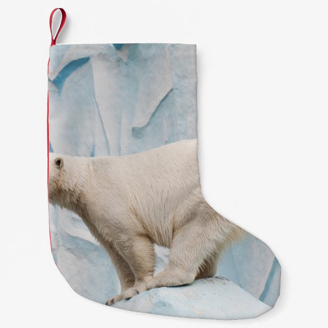 Polar: Zoo Habitat Glimpse Liten Julstrumpa (Framsidan)