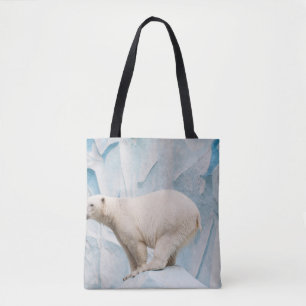 Polar: Zoo Habitat Glimpse Tygkasse