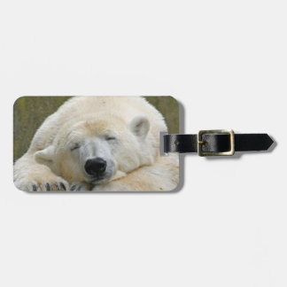 PolärBear20150501 Bagagebricka