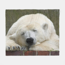PolarBear_2015_0401 Fleecefilt
