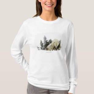 Polarbjörnar på den Wapusk nationalparken T Shirt