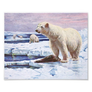 Polarbjörnar på isFloeskonst Fototryck
