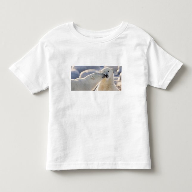 Polärbjörnskys Tee (Framsida)