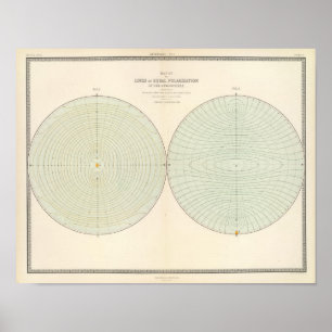 polariseringsklimat poster