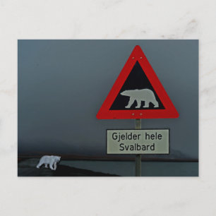 Polarna bär vägskylt och polar. vykort