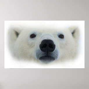 Polarna Egen Chic Bear Artwork Poster Skriv ut