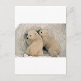 Polarna TWIN BABY BÄRAR Vykort