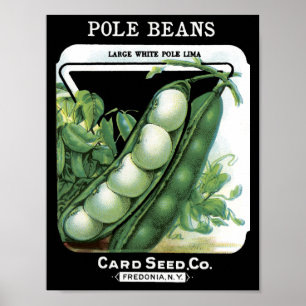 Pole Beans Card Seed Co. pack Vintage Fredonia Poster