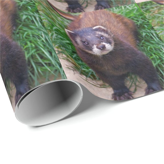 Polecat som slår in papper presentpapper (Rullad Hörn)