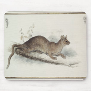 Polecaten, 19th århundrade musmatta