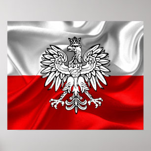 Polen flagga poster