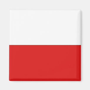 Polen flaggamagnet magnet