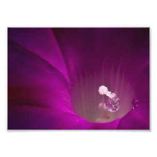 Polen Glitter Fototryck