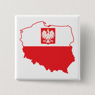 Polen Karta i polska Färg Knapp