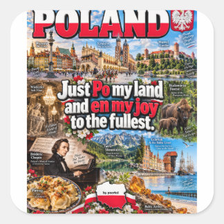 Polen klistermärke