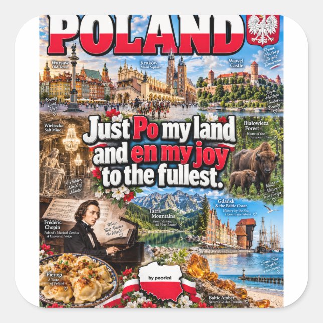 Polen klistermärke (Framsida)
