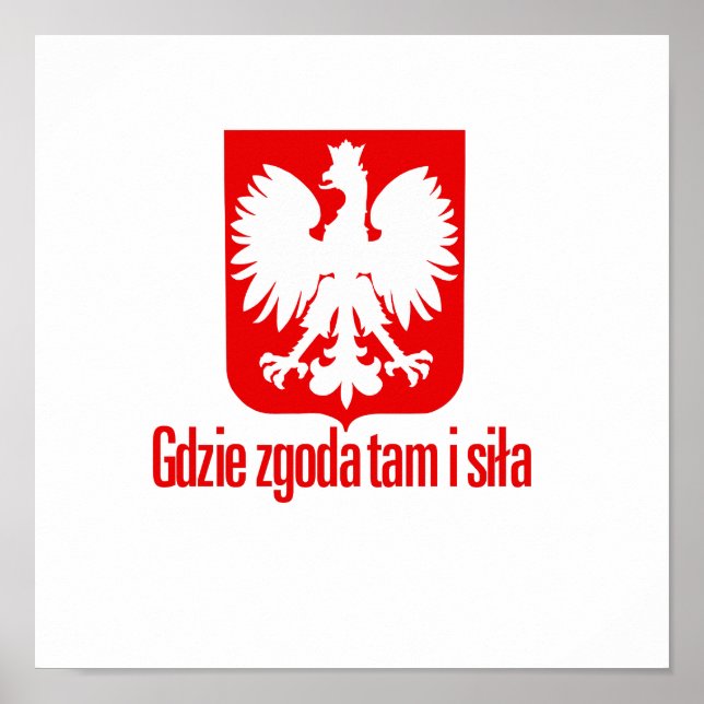 Polen - Med enad styrka Poster (Framsidan)