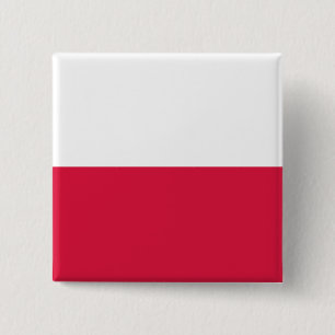 Polen (polsk) Flagga Knapp