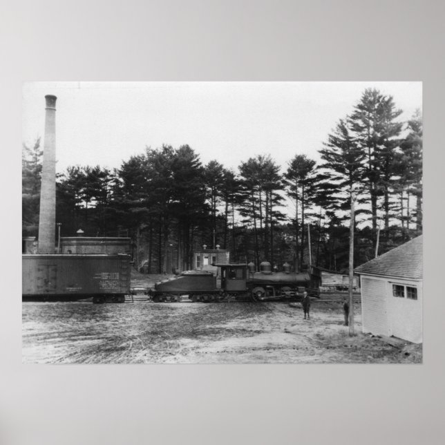 Polen Vår Railroad Poster (Framsidan)