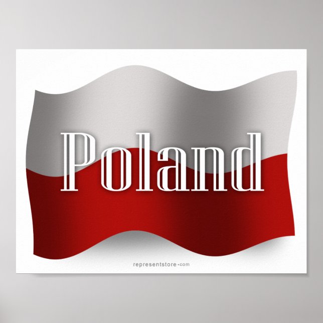 Polen Wave Flagga Poster (Framsidan)
