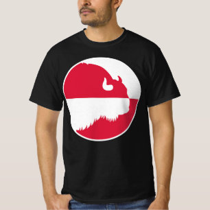 Polen Wisent Zubr Polska nationella Flagga för dju T Shirt