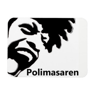 Polimasaren kylskåpsmagnet magnet