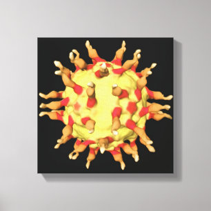 Poliovirus, visning receptorsna canvastryck