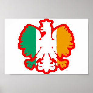 POLISH-/IRISHFLAGGA POSTER