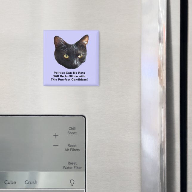 Politik Cat No Råttor kommer inte att finnas i Off Magnet (In Situ (Fridge))