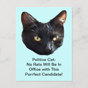 Politik Cat No Råttor kommer inte att vara i tjäns Vykort
