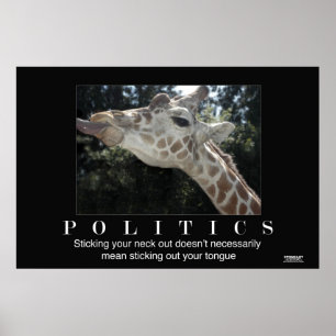 Politik Poster