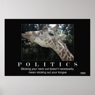 Politik Poster