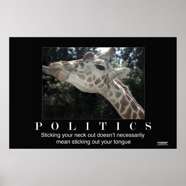 Politik Poster (Framsidan)