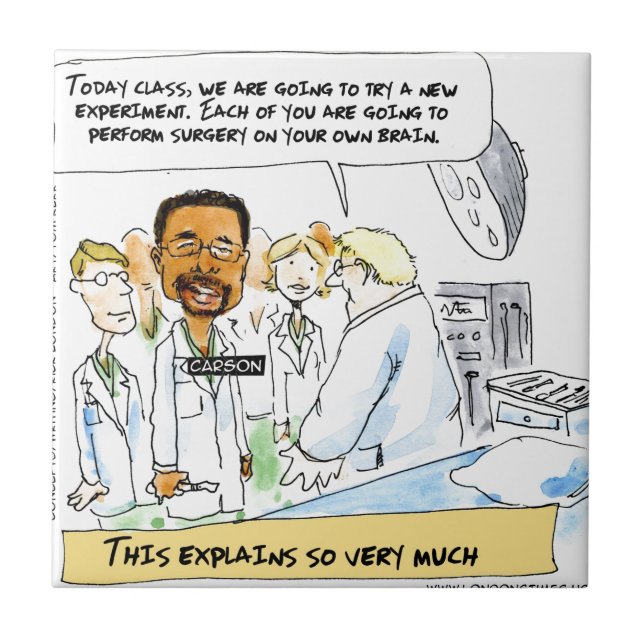 Politik: Tar det hjärnkirurgi? Kakelplatta (Framsidan)