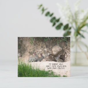 Politisk kanin Hål Bunny Photo Politik Humor Vykort