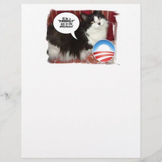 Politisk kat Humor (Framsida)